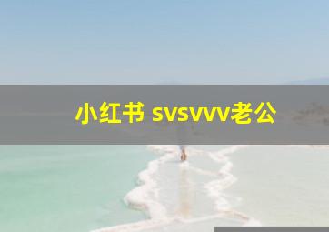 小红书 svsvvv老公